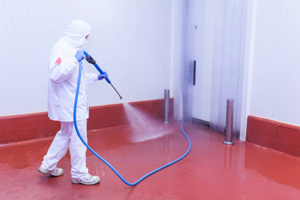 Best Spring Cleaning  in Port Carbon, PA